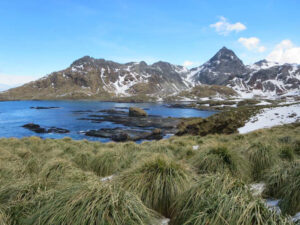 South Georgia Island