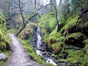 Puck's Glen